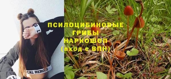 соль ск Белокуриха