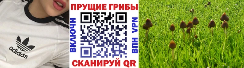 гидра ссылки  наркотики  Волжск  Галлюциногенные грибы GOLDEN TEACHER 